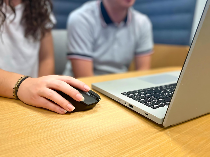 Consultant en train de travailler sur son ordinateur